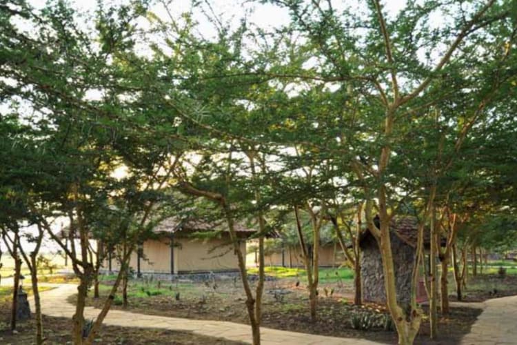 Tents exterior